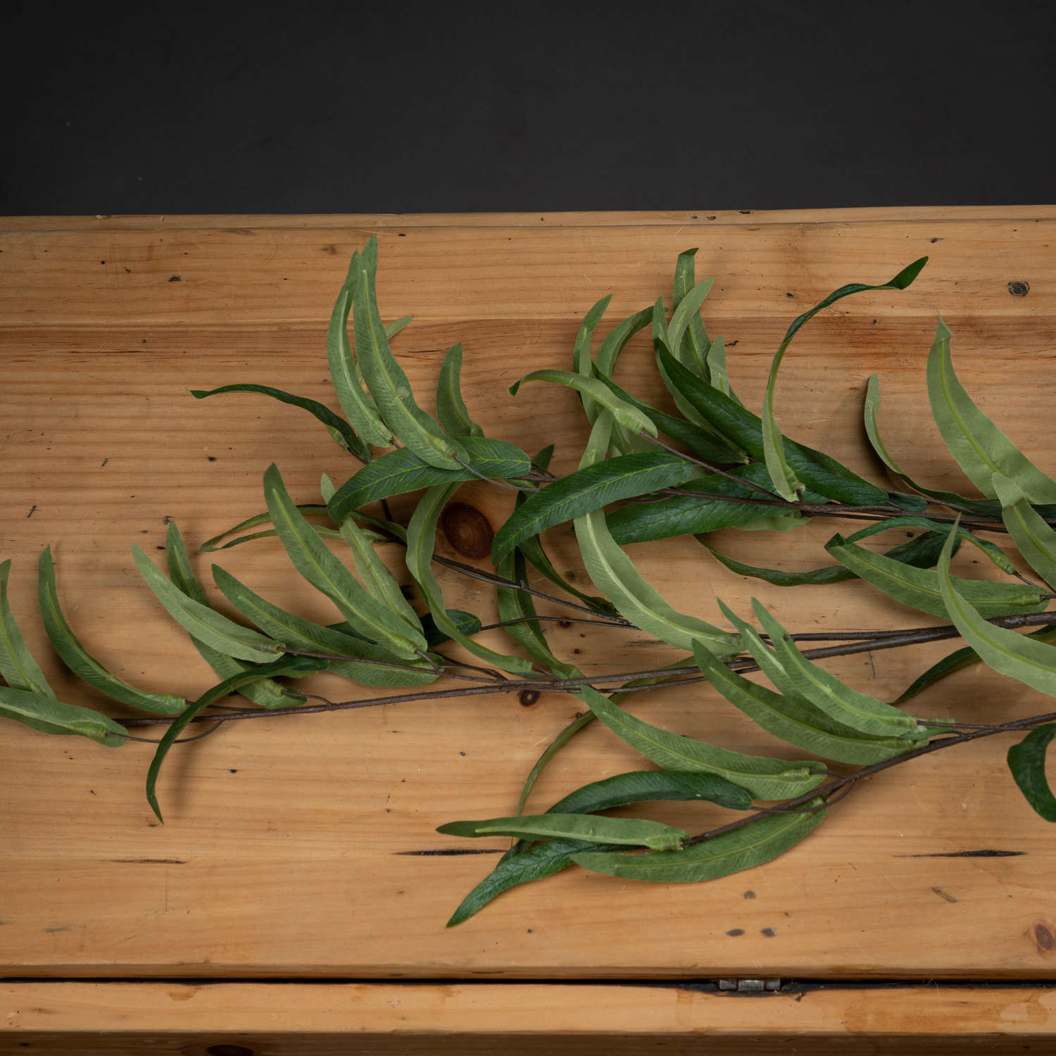 Eucalyptus Nicholii Spray_4778