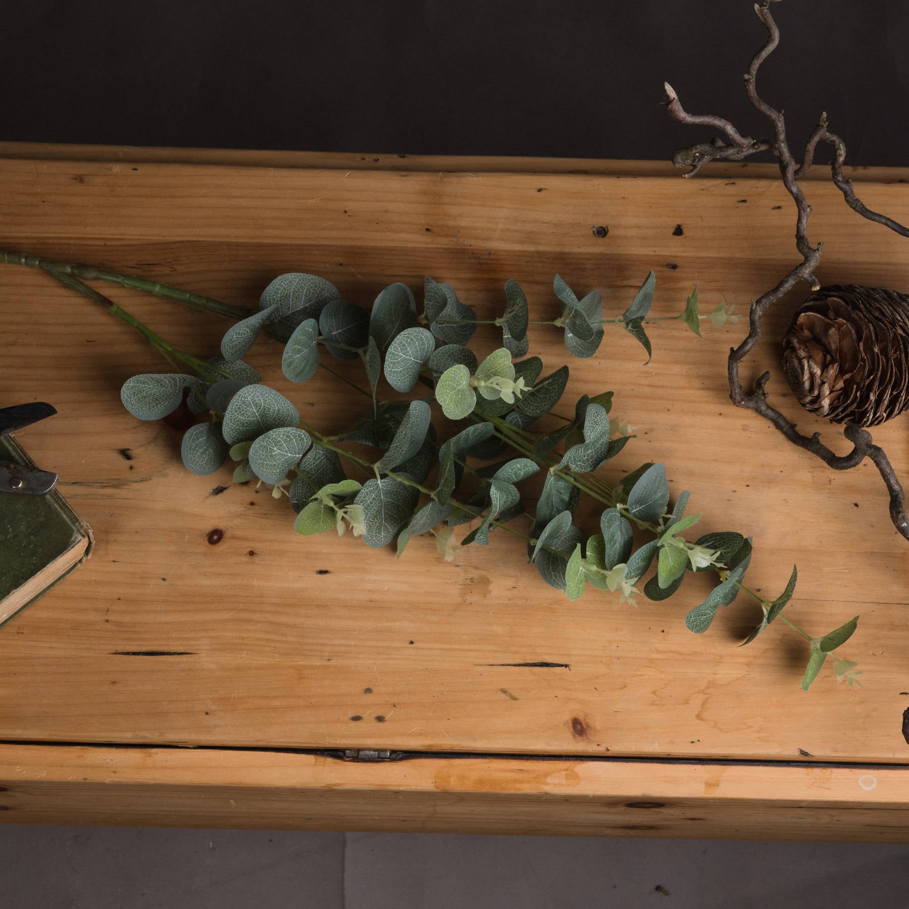 Eucalyptus Spray_4783