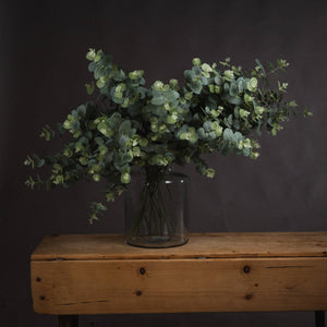 Eucalyptus Spray_4782