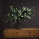 Eucalyptus Spray_4782