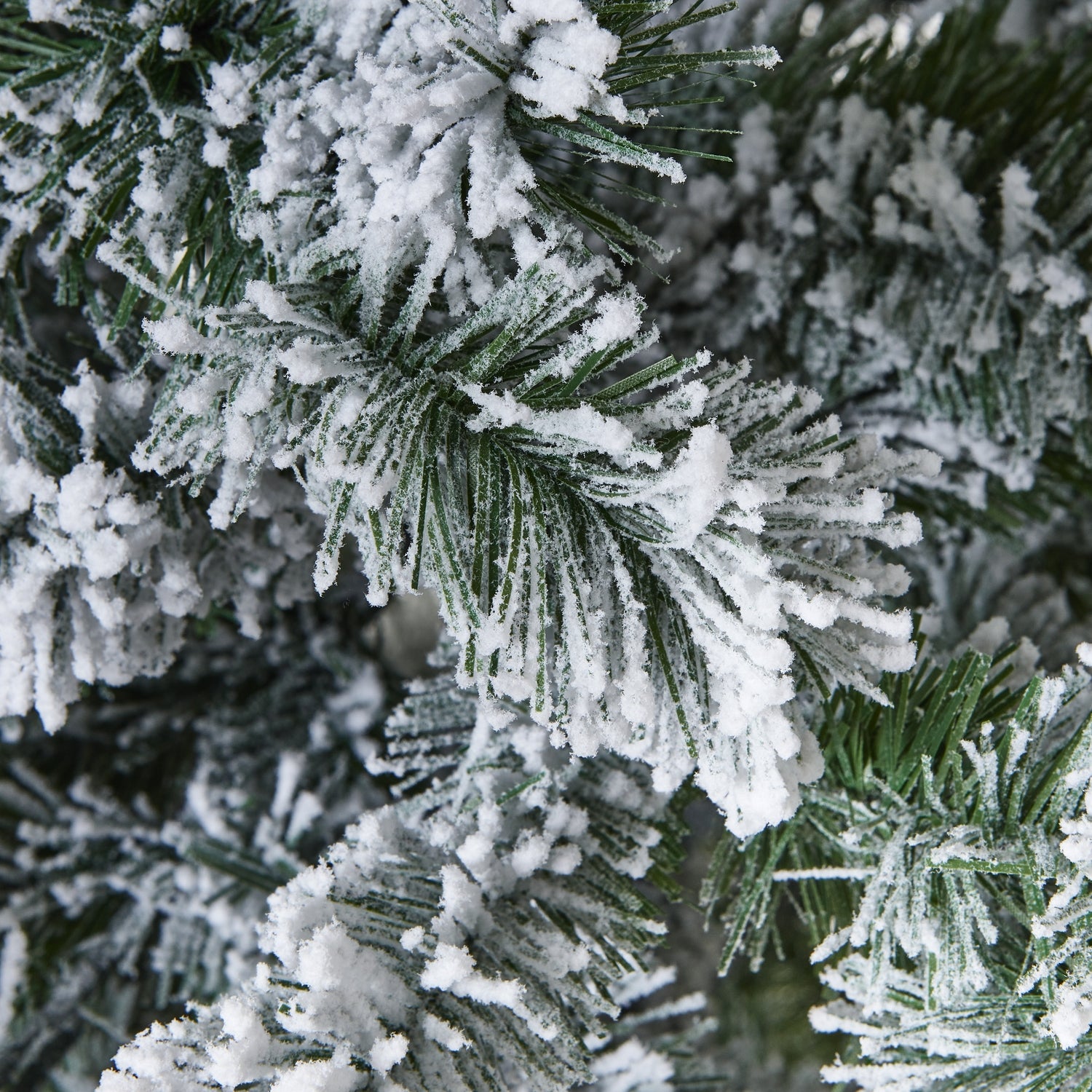 Extra Large Snowy Spruce Tree_1680