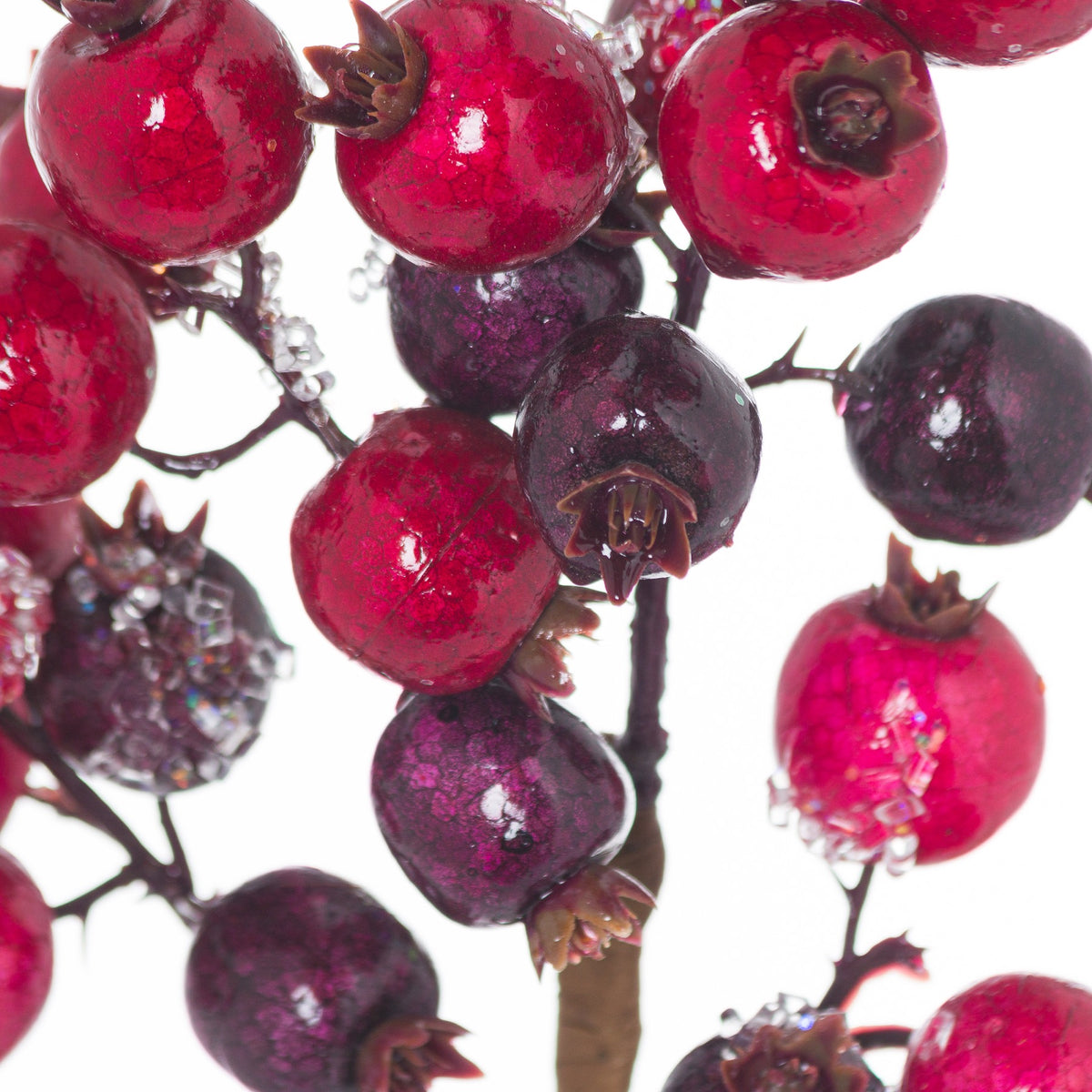 Fat Red Berry Pick_1683