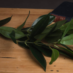 Faux Bay Leaf Spray_4797