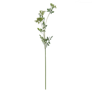 Faux Cow Parsley Ammi_4803