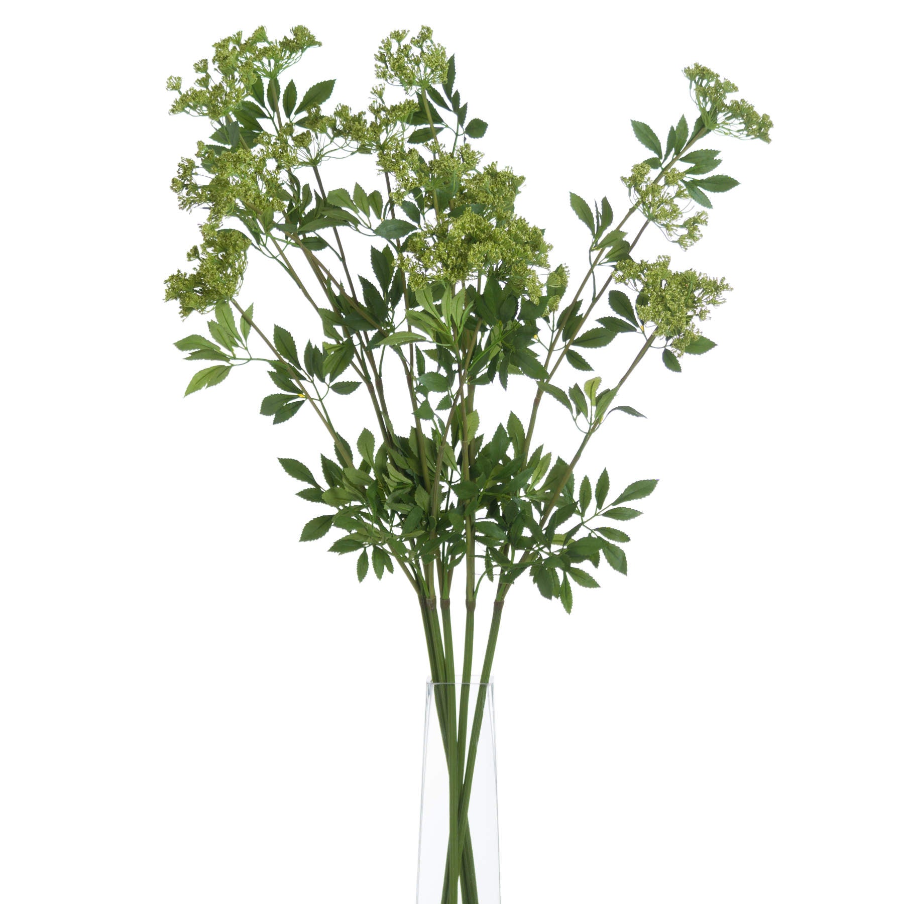 Faux Cow Parsley Ammi_4802