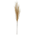 Faux Pampas Grass Stem_4808