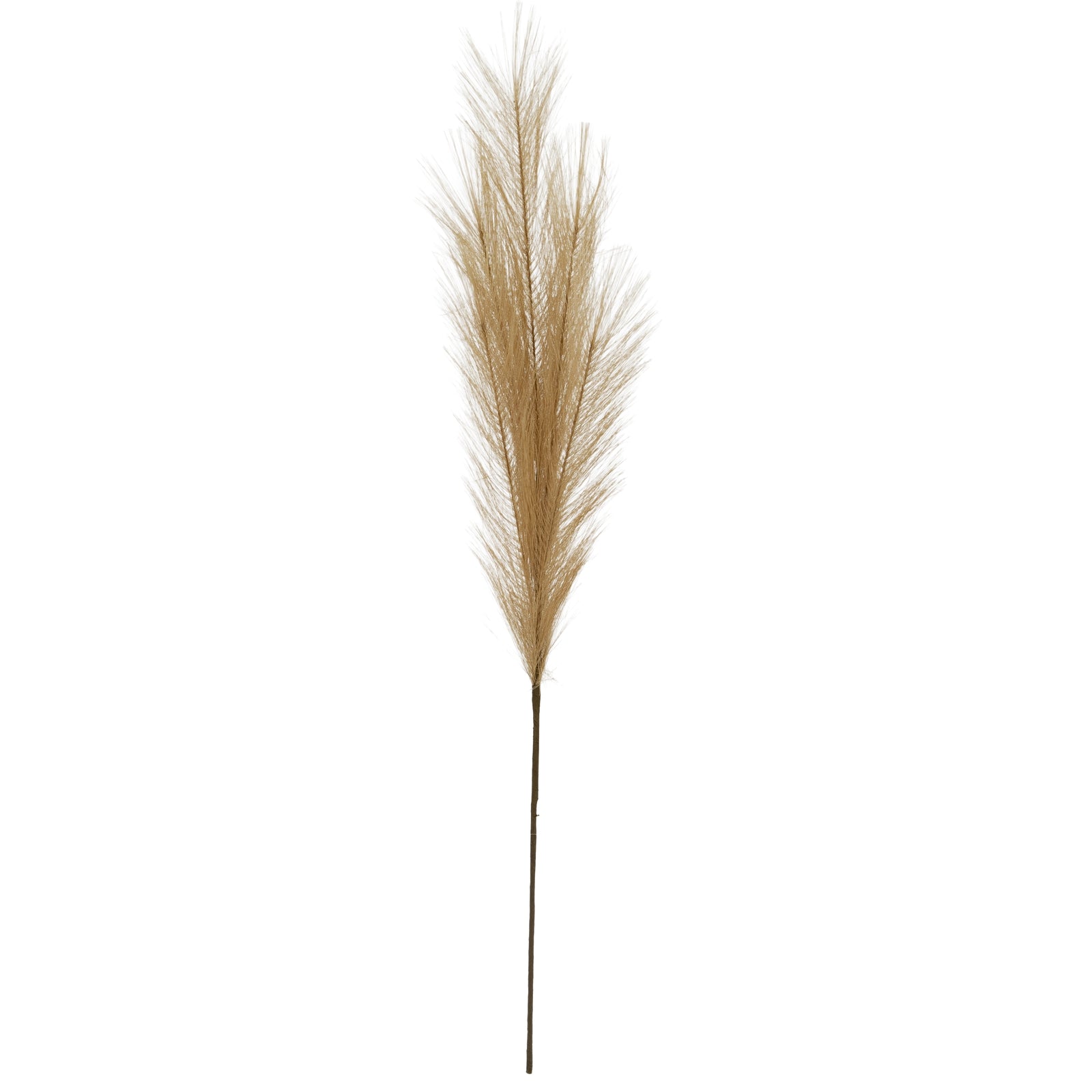 Faux Pampas Grass Stem_4808