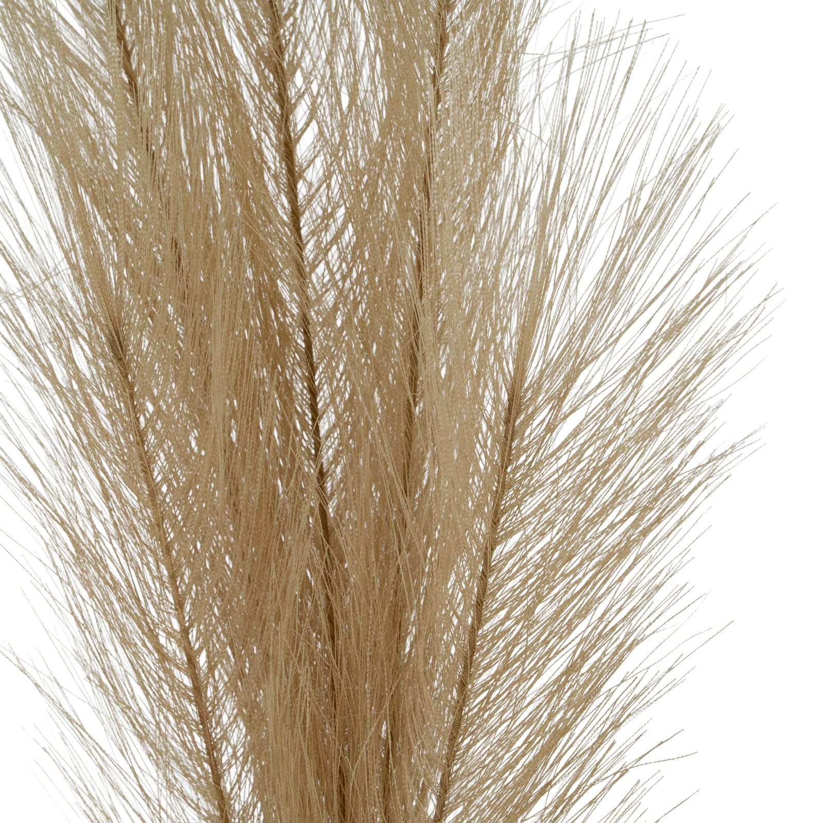 Faux Pampas Grass Stem_4810