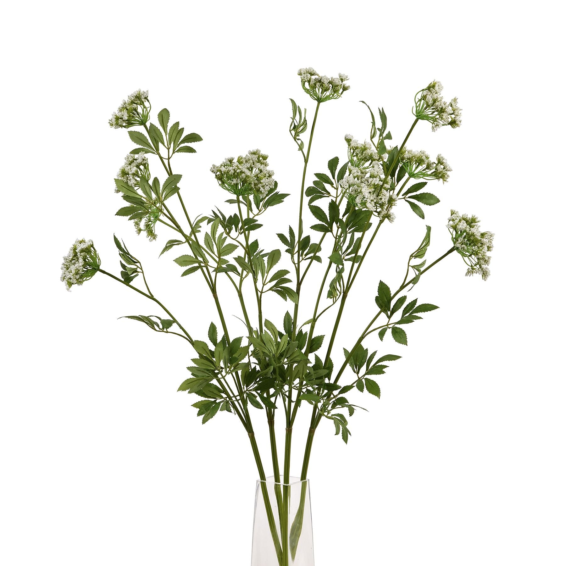 Faux White Cow Parsley Ammi_4815