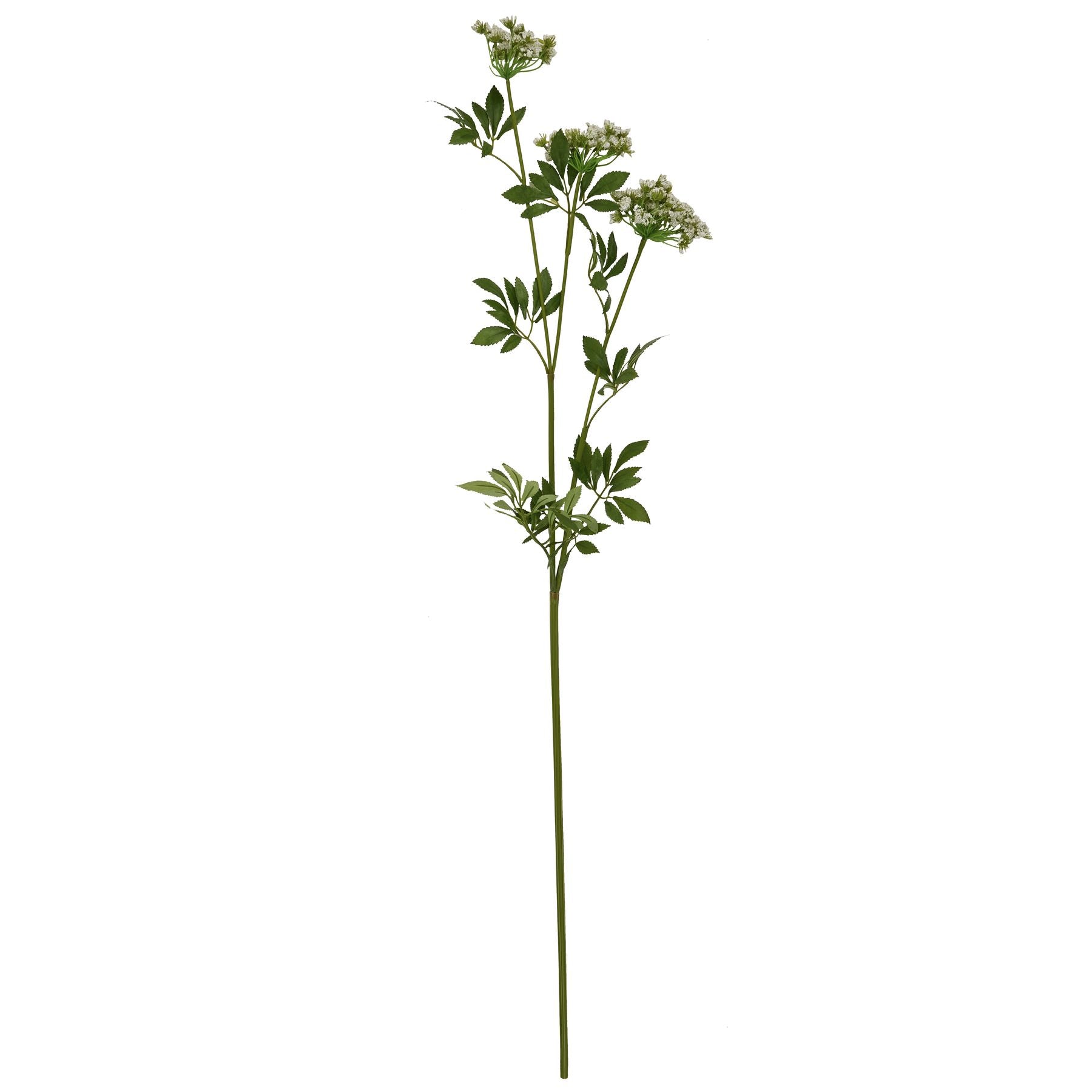 Faux White Cow Parsley Ammi_4814
