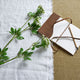 Faux White Cow Parsley Ammi_4811
