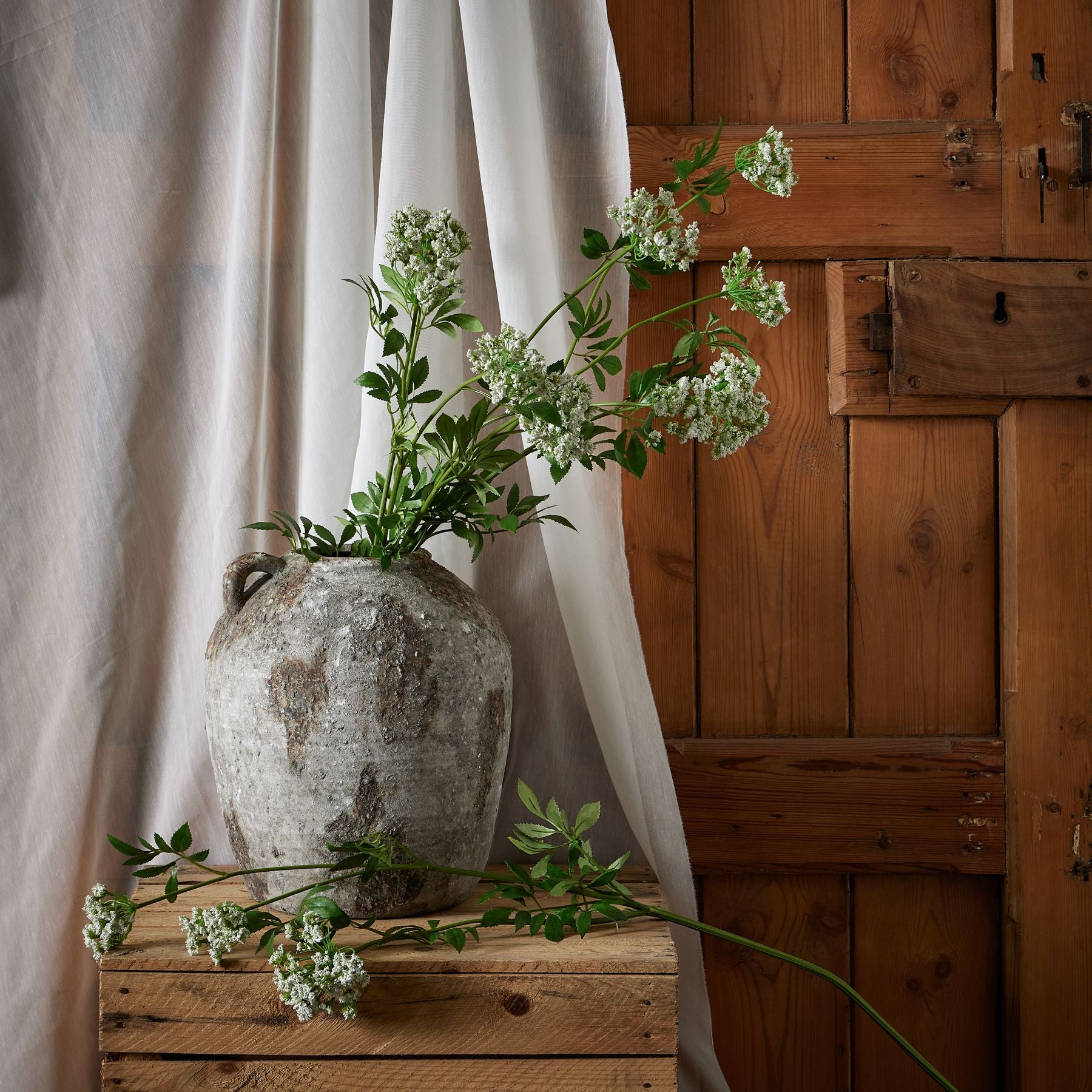 Faux White Cow Parsley Ammi_4813