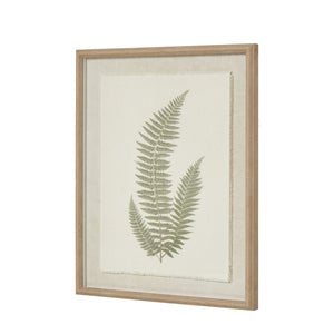 Fern Art On Texture-Torn Paper With Beaded Frame [cid:23798-a]