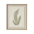 Fern Art On Texture-Torn Paper With Beaded Frame [cid:23798]