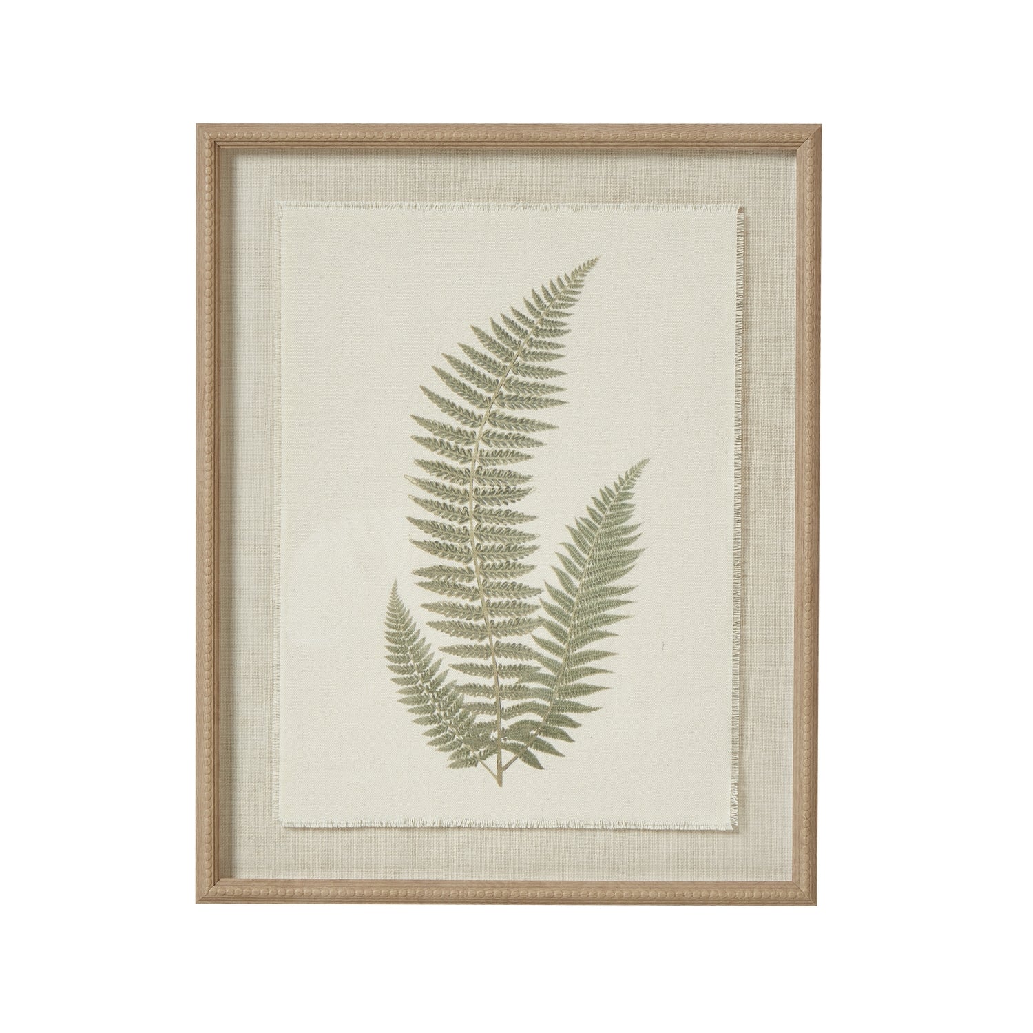 Fern Art On Texture-Torn Paper With Beaded Frame [cid:23798]