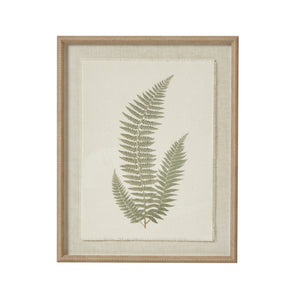 Fern Art On Texture-Torn Paper With Beaded Frame [cid:23798]