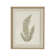 Fern Art On Texture-Torn Paper With Beaded Frame [cid:23798]