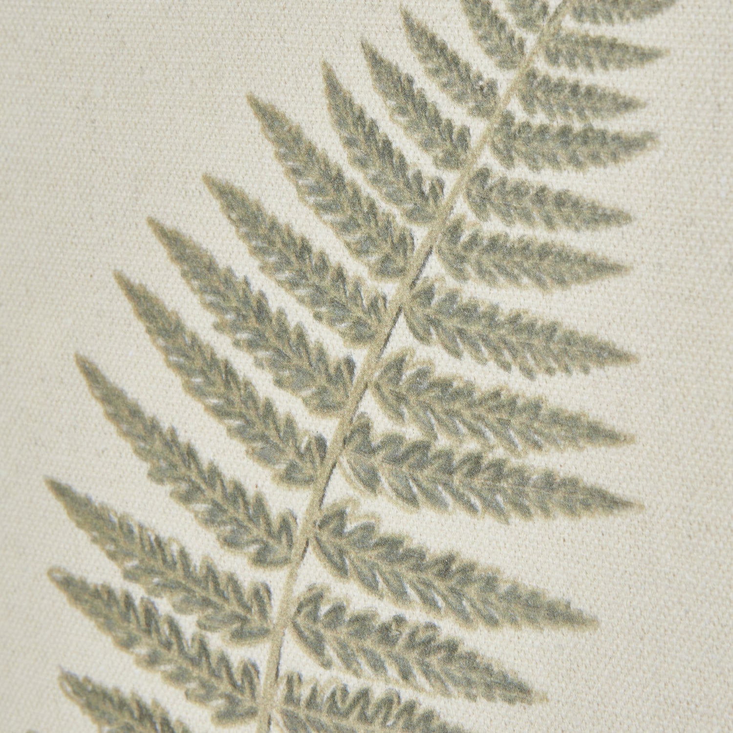 Fern Art On Texture-Torn Paper With Beaded Frame [cid:23798-b]