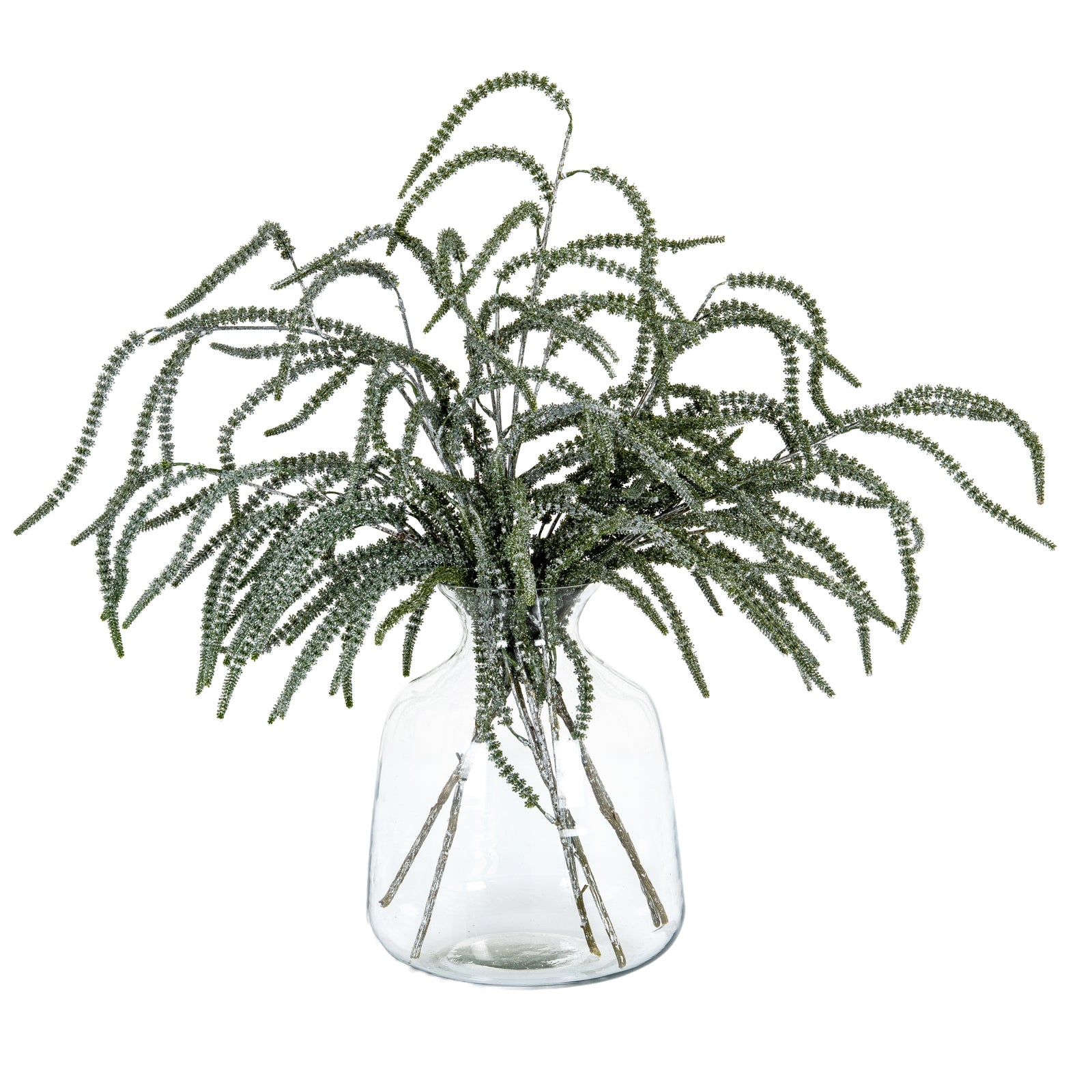 Festive Amaranthus_1702