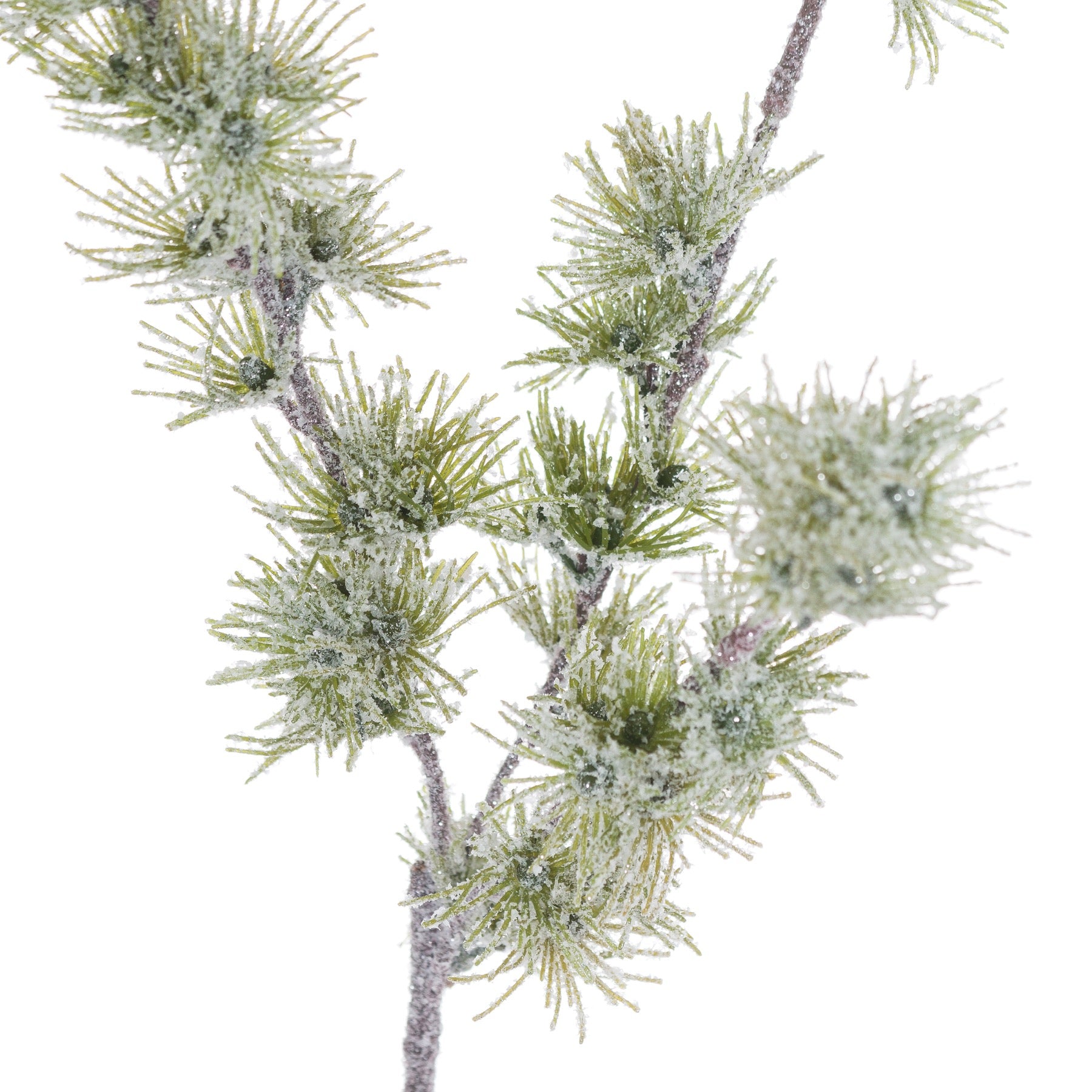 Festive Snow Branch_1708