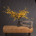 Forsythia_4826