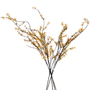 Forsythia_4829
