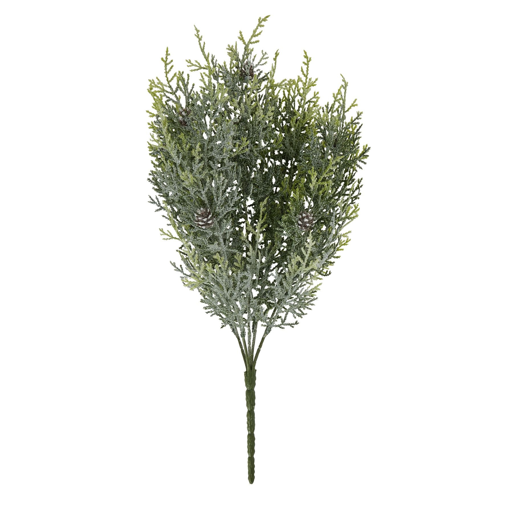 Frosted Pine Spray Stem With Pinecones_4852
