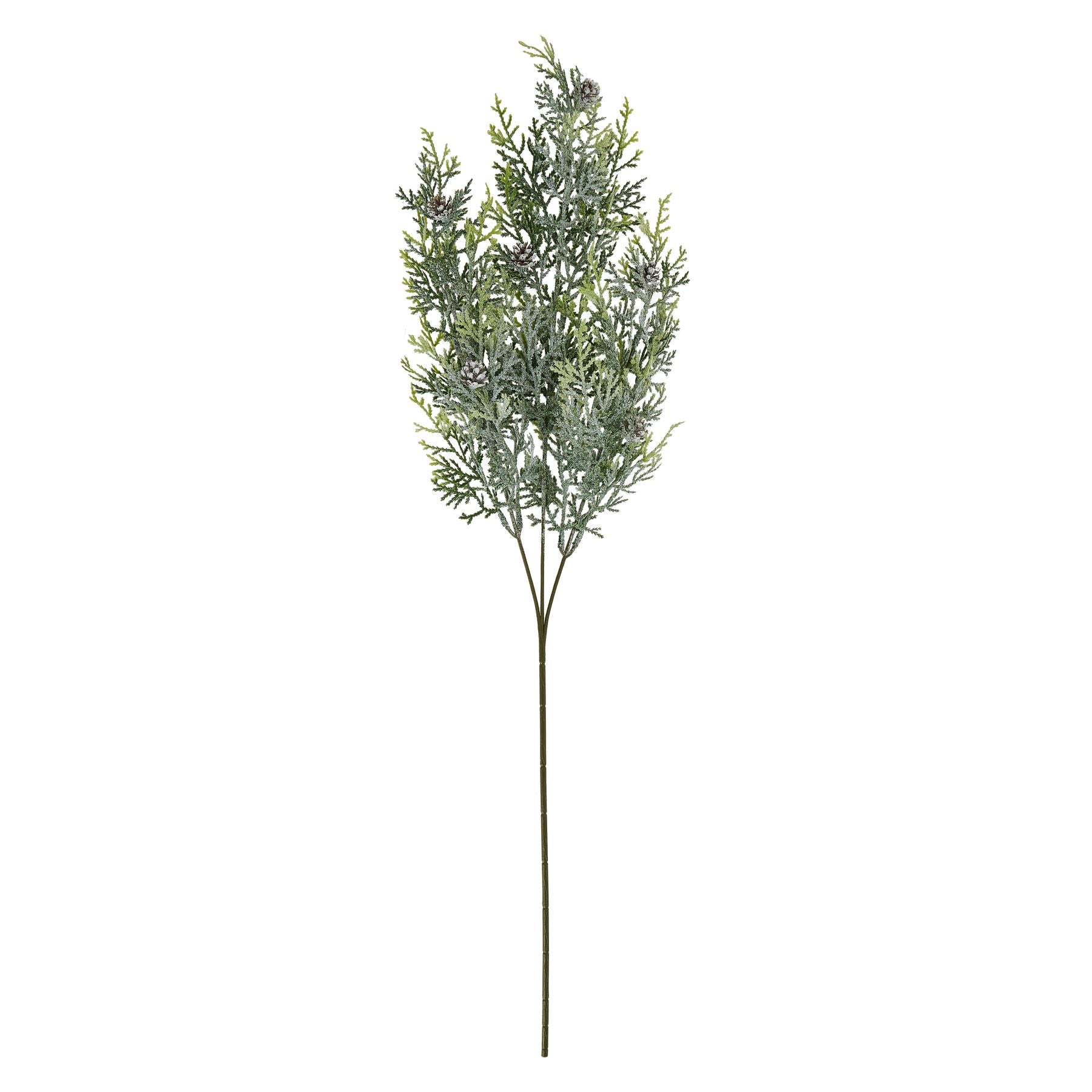 Frosted Pine Tall Stem With Pinecones_4856