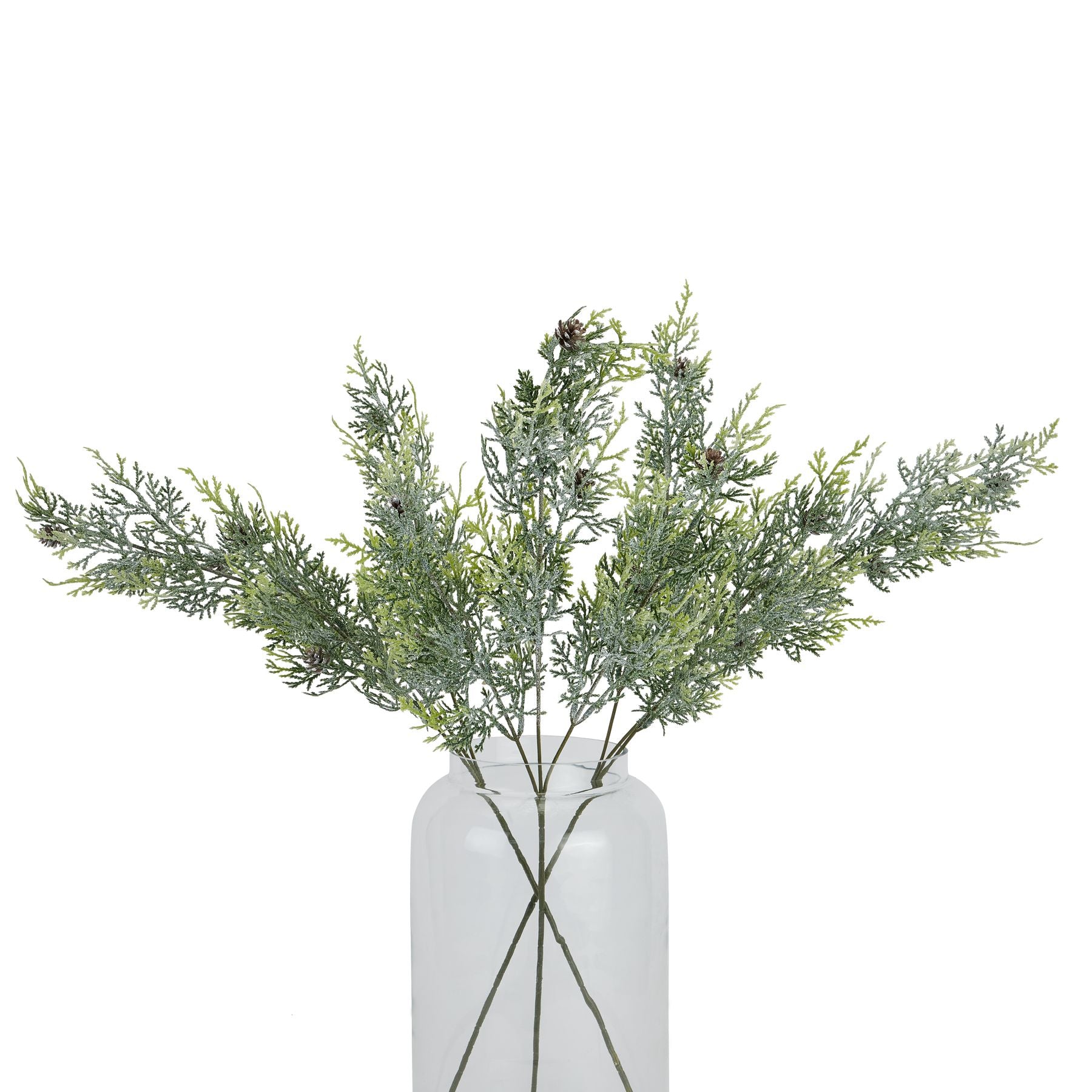 Frosted Pine Tall Stem With Pinecones_4857