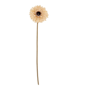 Gerbera Stem_4628