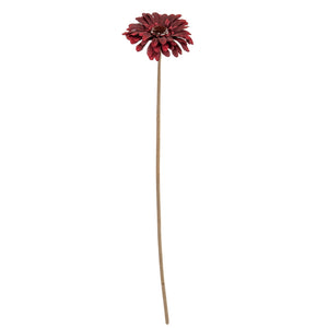 Gerbera Stem_4525