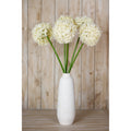 Giant Allium Stem_4632
