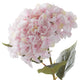 Giant Pink Hydrangea_4863