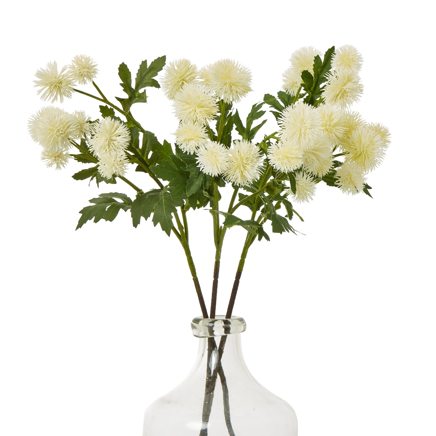 Cream Globe Thistle Spray [cid:23836-b]