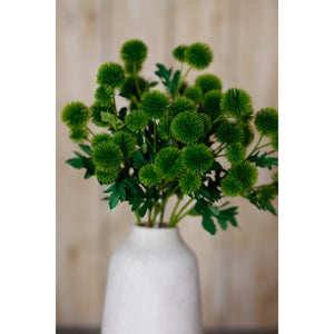 Green Globe Thistle Spray [cid:23835-d]
