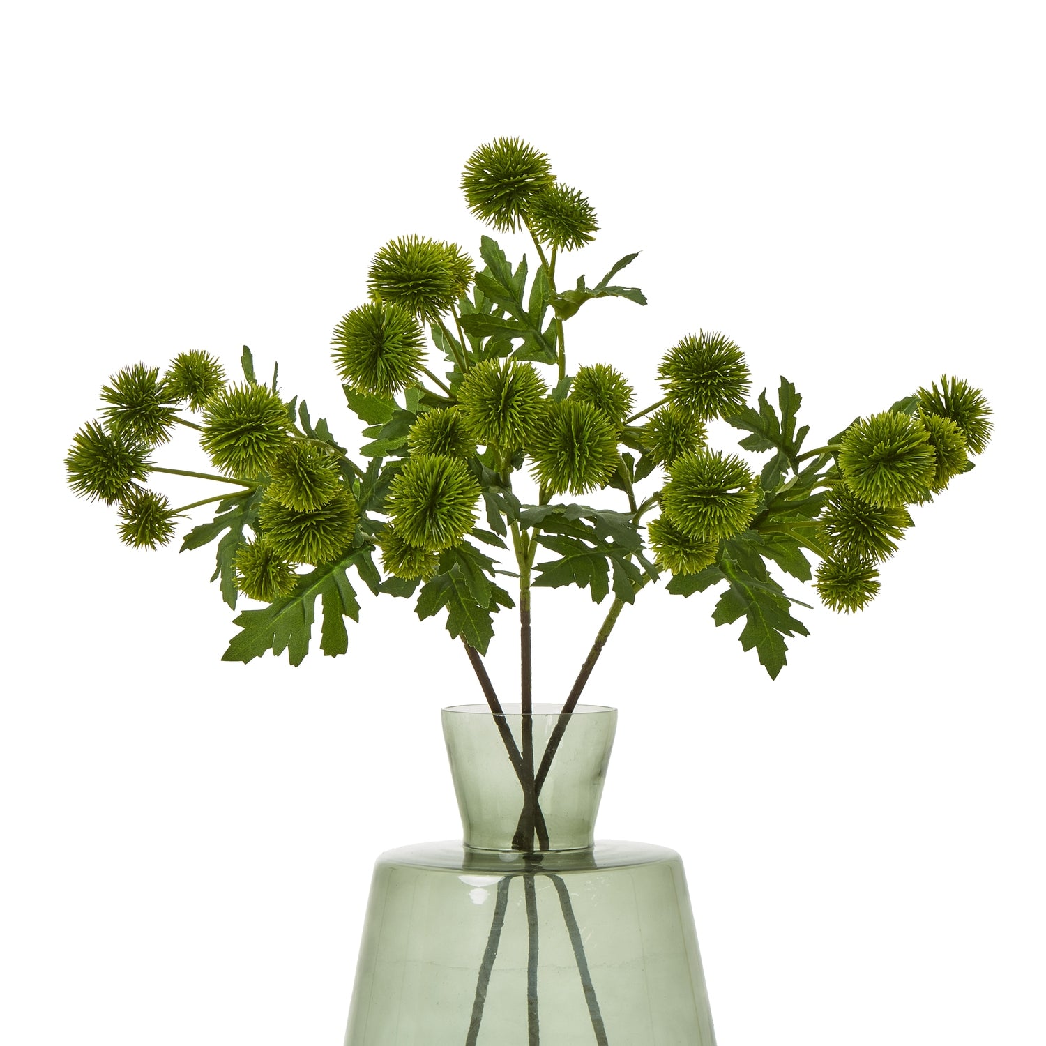 Green Globe Thistle Spray [cid:23835-b]