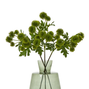 Green Globe Thistle Spray [cid:23835-b]