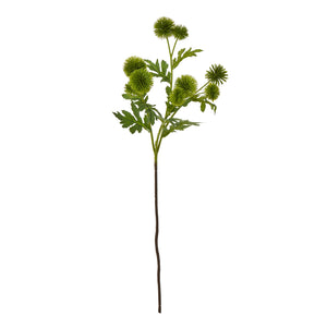 Green Globe Thistle Spray [cid:23835]