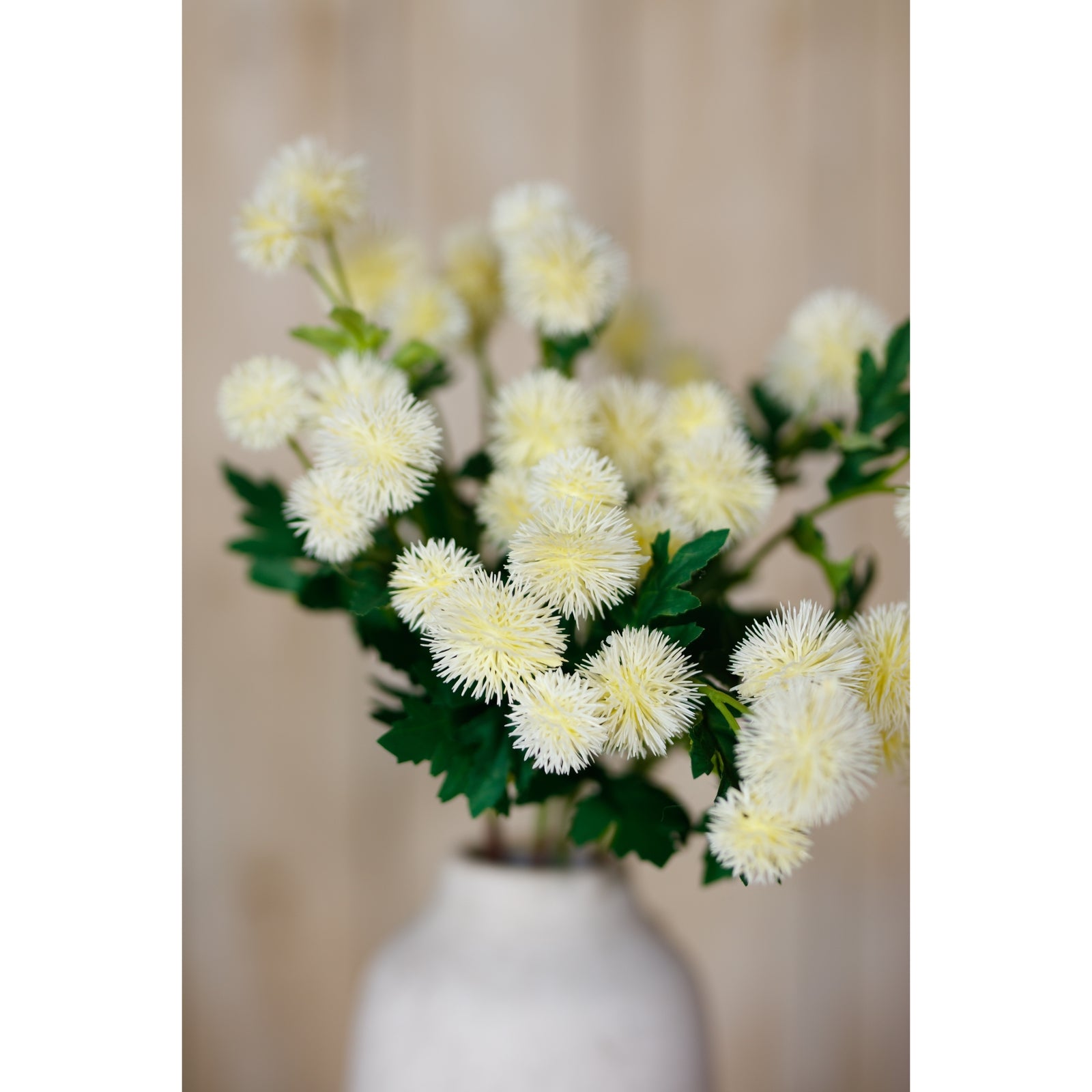 Cream Globe Thistle Spray [cid:23836-d]