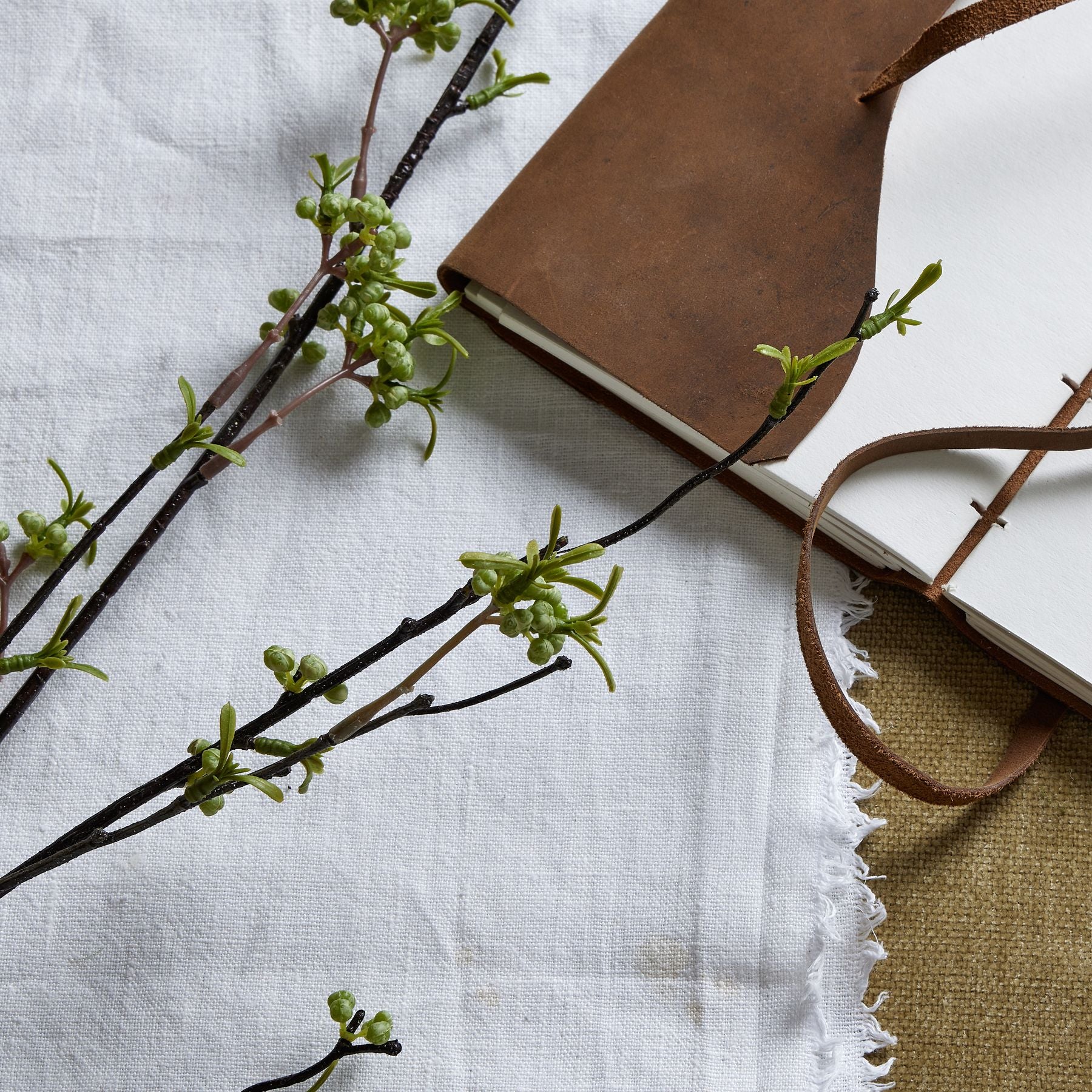 Green Berry Willow Stem_4880
