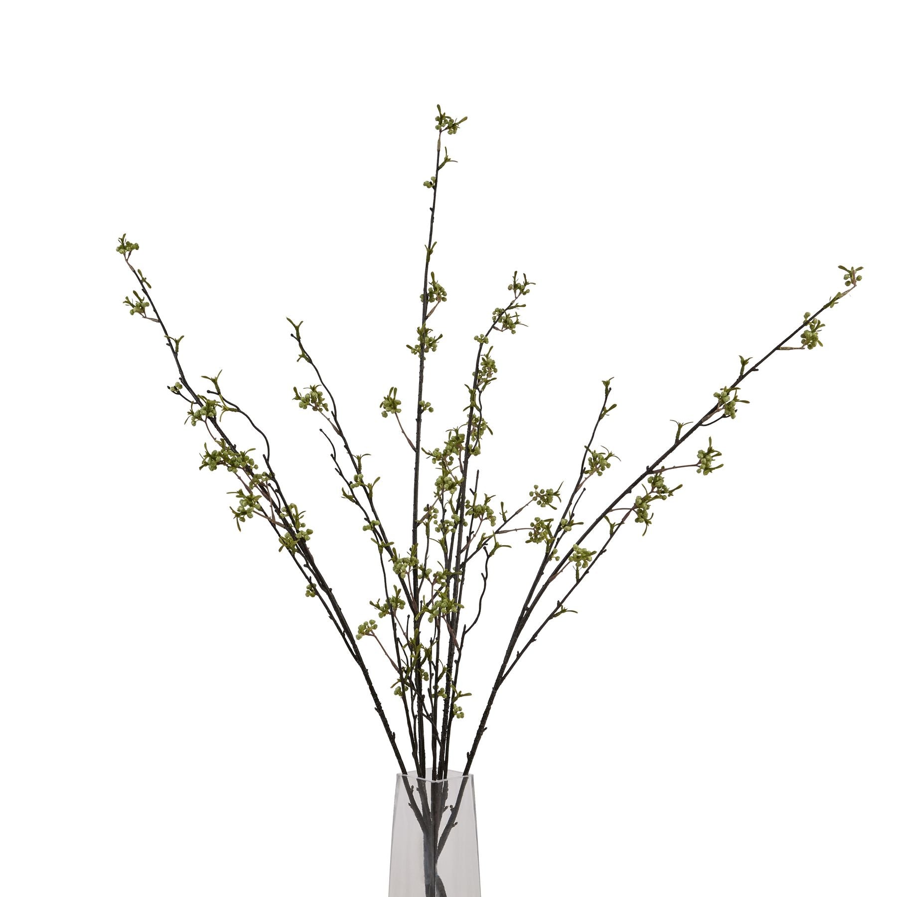 Green Berry Willow Stem_4883