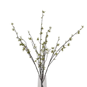 Green Berry Willow Stem_4883