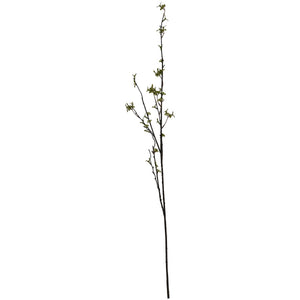 Green Berry Willow Stem_4882