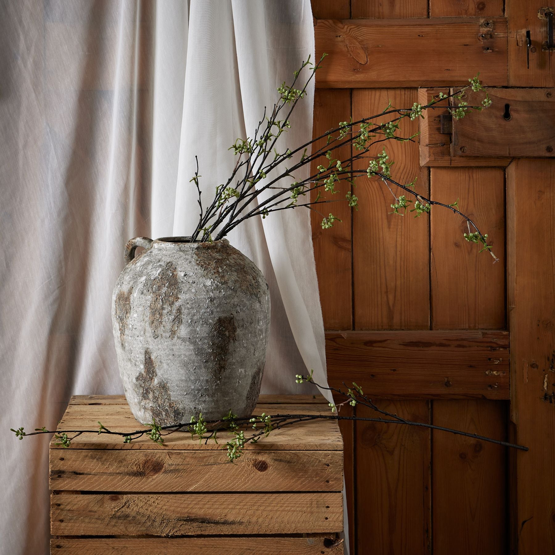 Green Berry Willow Stem_4881