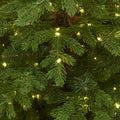 Green Forest Fir Pre-Lit Led 300L Christmas Tree In Pot_810