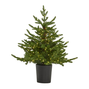 Green Forest Fir Pre-Lit Led 300L Christmas Tree In Pot_809