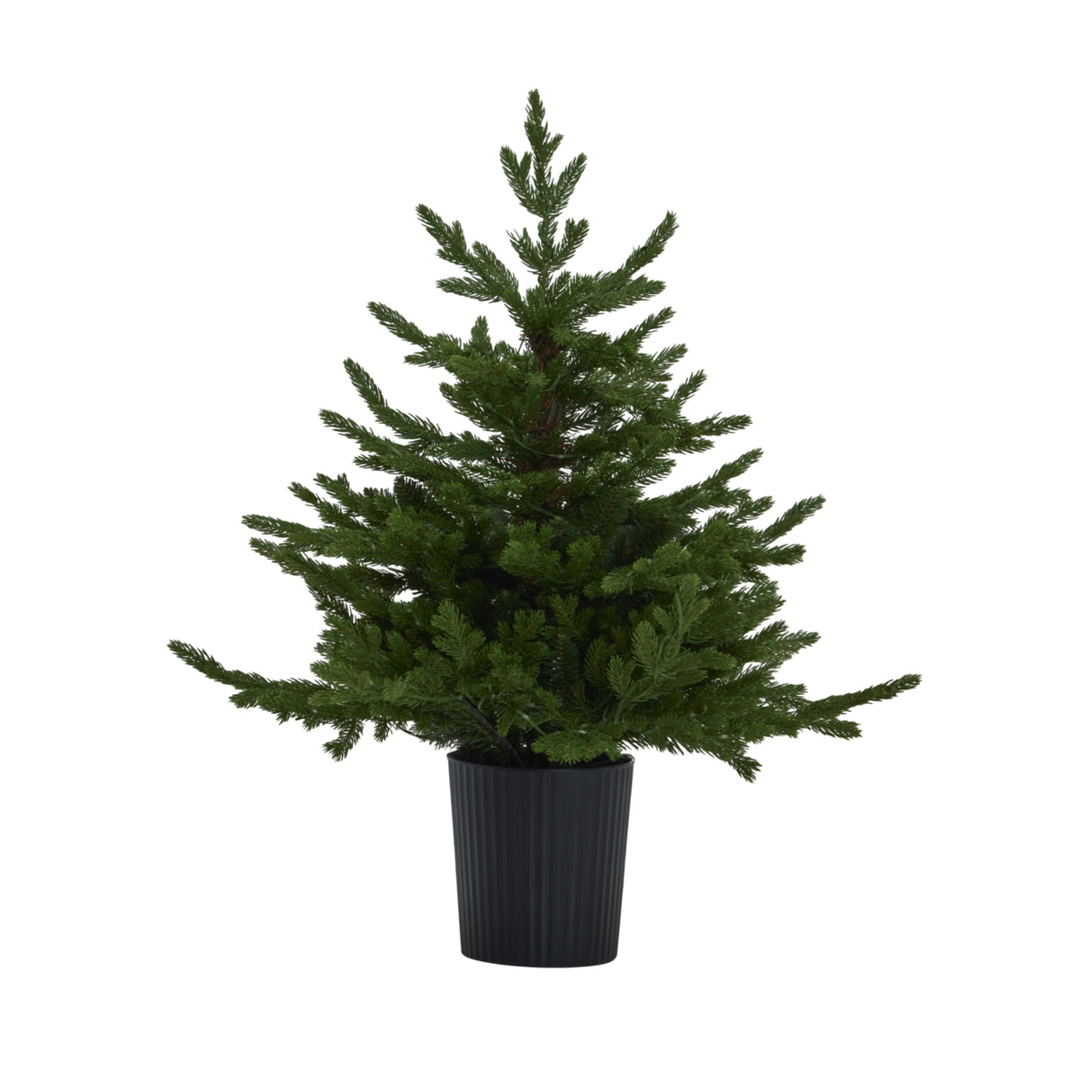 Green Forest Fir Pre-Lit Led 300L Christmas Tree In Pot_808