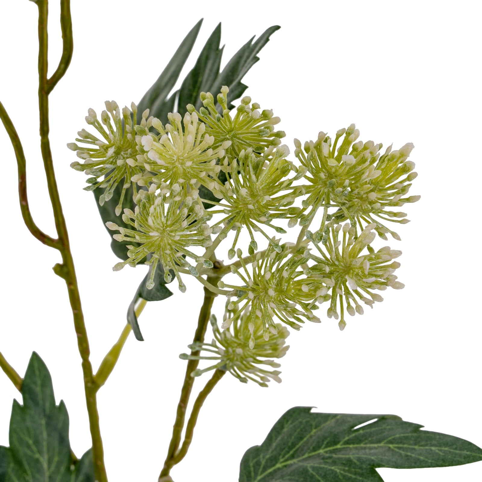 Green French Meadow Spray_4902