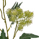 Green French Meadow Spray_4902