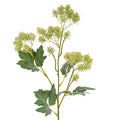 Green French Meadow Spray_4900